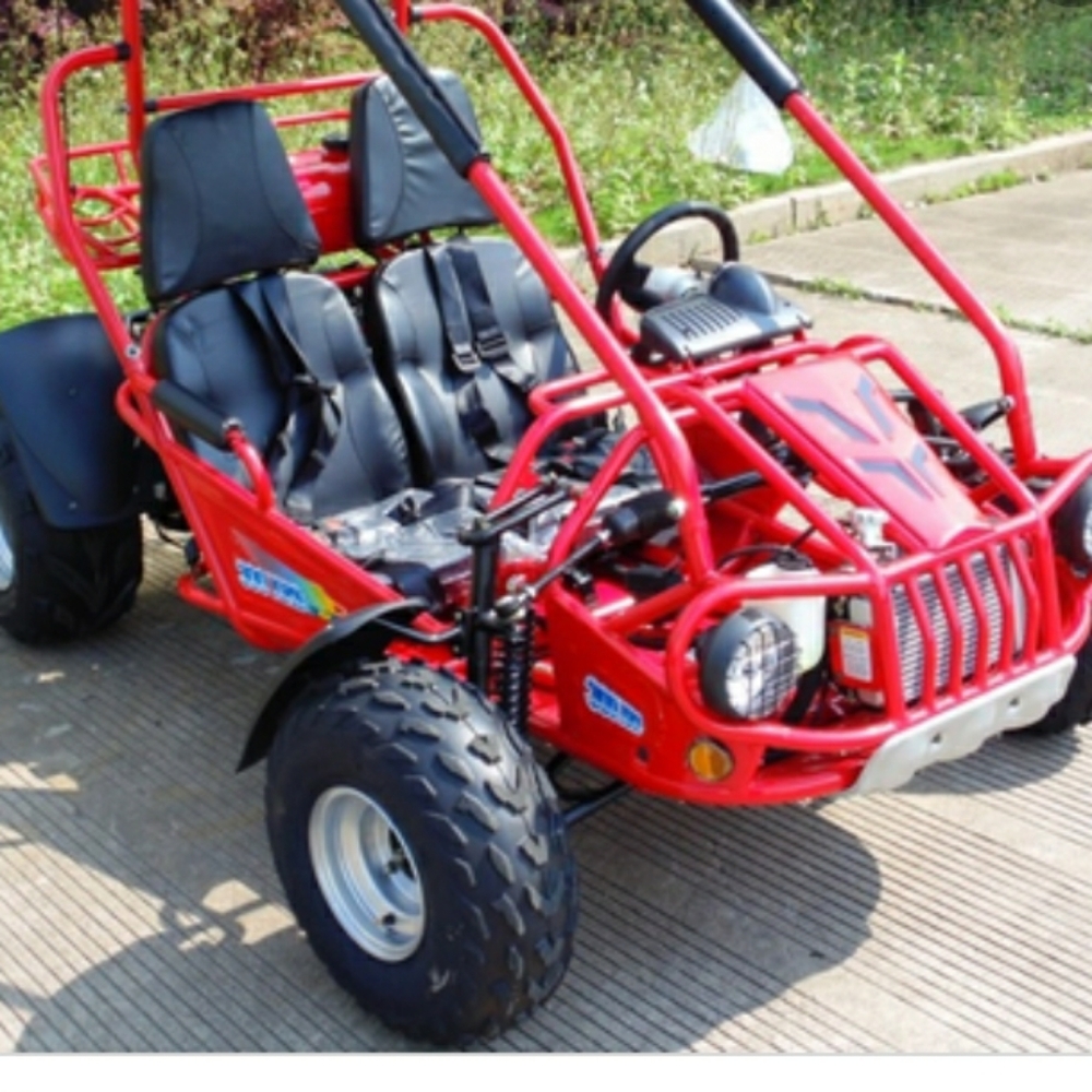 Go kart f0r 200 cashapp only